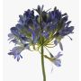 Agapanthe ORNIL en plastique, bleu, 90cm