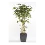 Bambou artificiel SADASHI, troncs naturels, 205cm