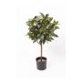 Boule de laurier artificielle DRODY, vrai tronc, fruits, 60cm