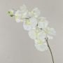 Tige d'orchidée Phalaenopsis en tissu ANAT, crème, 100cm