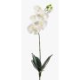 Orchidée Phalaenopsis artificielle ISIS, piquet, blanc, 60cm