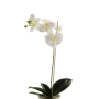 Orchidée Phalaenopsis artificielle ISIS, piquet, blanc, 60cm