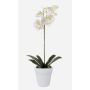 Orchidée Phalaenopsis artificielle ISIS, pot en céramique, blanc, 55cm