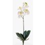 Orchidée Phalaenopsis artificielle ISIS, piquet, blanc, 40cm
