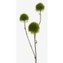 Eryngium artificiel BRANCO, vert, 60cm