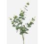Branche d'eucalyptus artificielle DEREK, vert-gris, 75cm