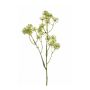 Branche de fatsia japonica CARITA avec fleurs, vert, 45cm