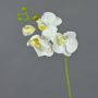 Tige d'orchidée Phalaenopsis en soie MINA, blanc, 55cm
