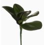 Feuilles d'orchidée Phalaenopsis artificielles NIUT, piquet, vert, 25cm