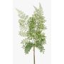 Branche de fougère polystichum HALIMA, vert, 60cm