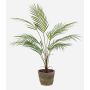 Faux Palmier de montagne ALUVIAL en pot en terre cuite, 85cm
