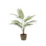 Faux Palmier de montagne ALUVIAL en pot en terre cuite, 85cm