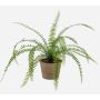 Fougère de Boston artificielle GARIBALDI en pot en terre cuite, vert, 60cm