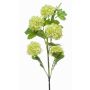 Fleur de boule de neige artificielle FONTE, vert clair, 75cm