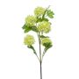 Fleur de boule de neige artificielle FONTE, vert clair, 75cm
