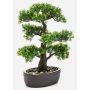 Bonsai Ficus artificiel ROMILDA en coupe décorative, 45cm