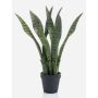 Sansevieria synthétique POLIANA, vert, 50cm
