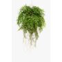 Panier suspendu avec fougère de Boston artificielle NILO, motte de terre, racines, 75cm, Ø55cm, Ø55cm
