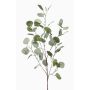Branche d'eucalyptus artificielle COLTON, vert-gris, 85cm