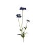 Fleur de Scabiosa artificielle GENEVE, bleu, 65cm