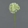 Allium artificiel ARNAU, crème-vert, 60cm