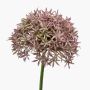 Allium artificiel ARNAU, rose, 60cm