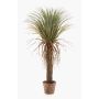 Faux Yucca FORMOSA, 110cm