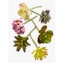 Plantes succulentes artificielles JADON, piquet, 6 pièces, coloré, 13cm, Ø5cm
