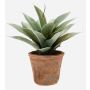 Agave artificiel DESIREE en pot en terre cuite, vert, 20cm, Ø25cm