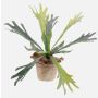 Fougère corne de cerf artificielle MARLEY en pot en terre cuite, vert, Ø45cm