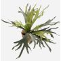 Fougère corne de cerf artificielle MARLEY en pot en terre cuite, vert, Ø75cm