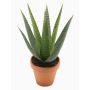Aloe Variegata en plastique MARTINEZ, pot en terre cuite, vert, 30cm, Ø17cm