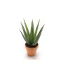 Aloe Variegata en plastique MARTINEZ, pot en terre cuite, vert, 30cm, Ø17cm