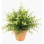 Eucalyptus artificiel JOSHUA en pot en argile, vert, 20cm, Ø17cm