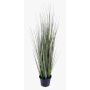 Vulpin artificiel SAMMI, vert, 50cm