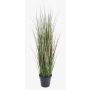 Vulpin artificiel SAMMI, vert, 65cm