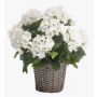 Hortensia artificiel JONE en corbeille tressée, blanc, 45cm