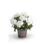 Hortensia artificiel JONE en corbeille tressée, blanc, 45cm