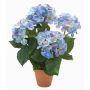 Hortensia artificiel JONE en pot en argile, bleu, 40cm