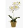 Orchidée Phalaenopsis artificielle SETH en pot décoratif, crème, 25cm