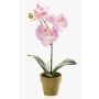 Orchidée Phalaenopsis artificielle SETH en pot décoratif, rose, 25cm
