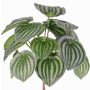 Plante Peperomia artificielle ALARA sur piquet, vert, 25cm