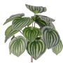 Plante Peperomia artificielle ALARA sur piquet, vert, 25cm