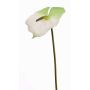 Anthurium artificiel MOIRA, blanc-vert, 75cm, 13x20cm