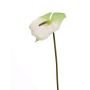 Anthurium artificiel MOIRA, blanc-vert, 75cm, 13x20cm