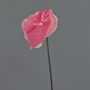 Anthurium artificiel MOIRA, fuchsia-rose, 75cm, 13x20cm