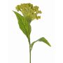 Célosie artificielle ANUBIS, vert-jaune, 60cm, Ø13cm