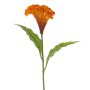 Célosie artificielle ANUBIS, orange, 60cm, Ø13cm