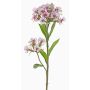 Oeillet artificiel ARCHIE, crème-rose, 60cm, Ø7-16cm
