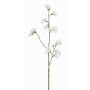Fleur artificielle Lathyrus ASFALOTH, blanc, 65cm, Ø3-5cm